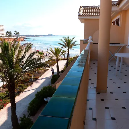 Shoal Orihuela