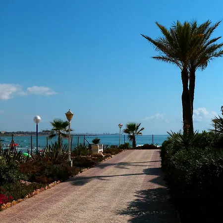 Shoal Orihuela